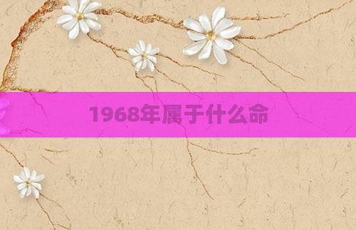1968年属于什么命