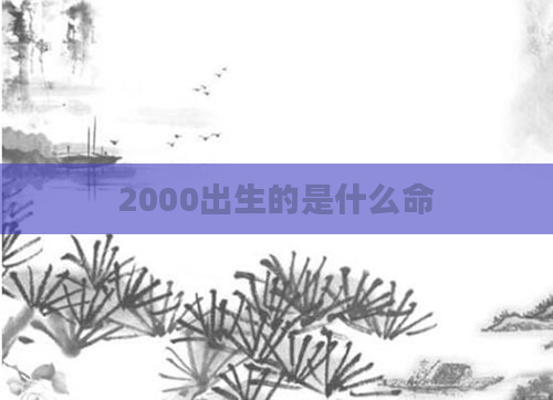 2000出生的是什么命