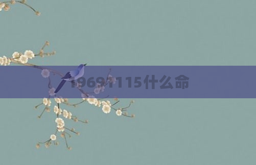 19691115什么命