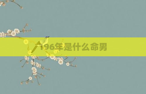 196年是什么命男