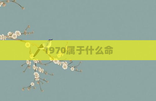 1970属于什么命