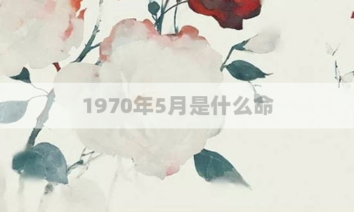 1970年5月是什么命
