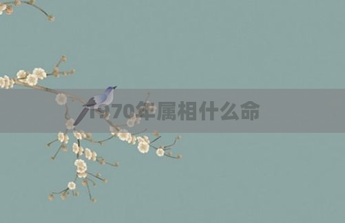 1970年属相什么命