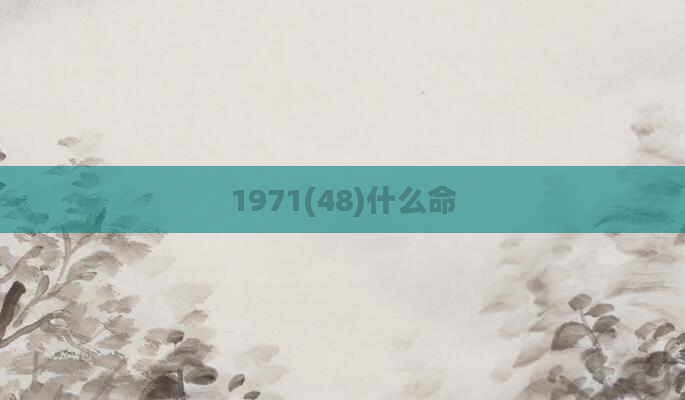 1971(48)什么命
