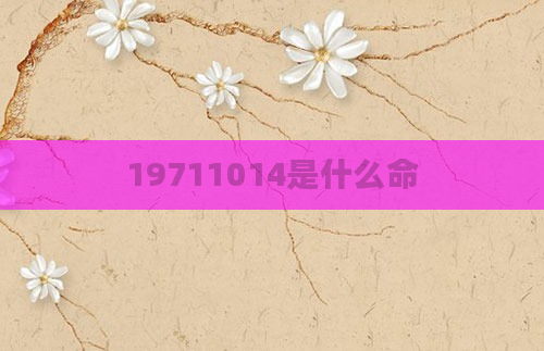 19711014是什么命