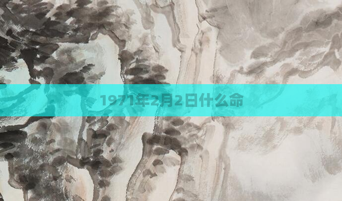 1971年2月2日什么命