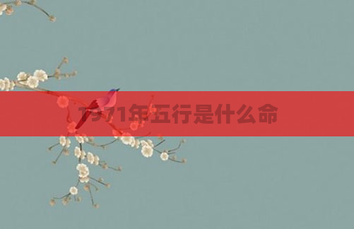 1971年五行是什么命