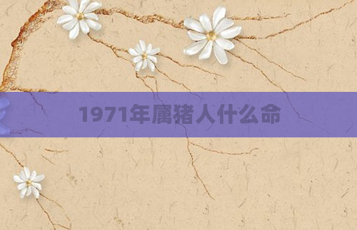 1971年属猪人什么命
