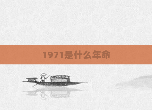 1971是什么年命