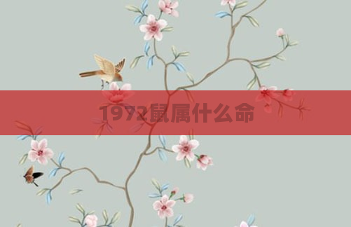 1972鼠属什么命