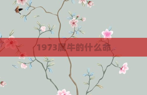 1973属牛的什么命