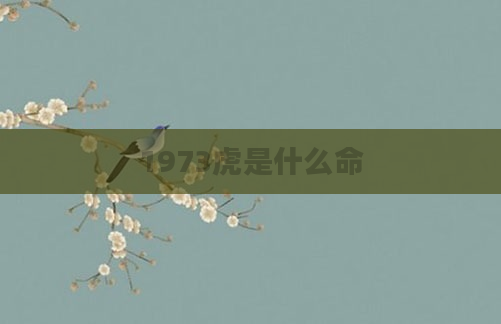 1973虎是什么命