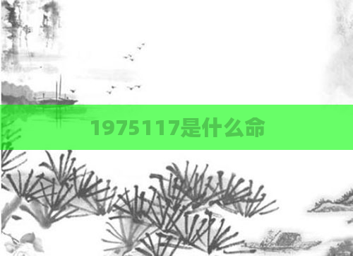 1975117是什么命
