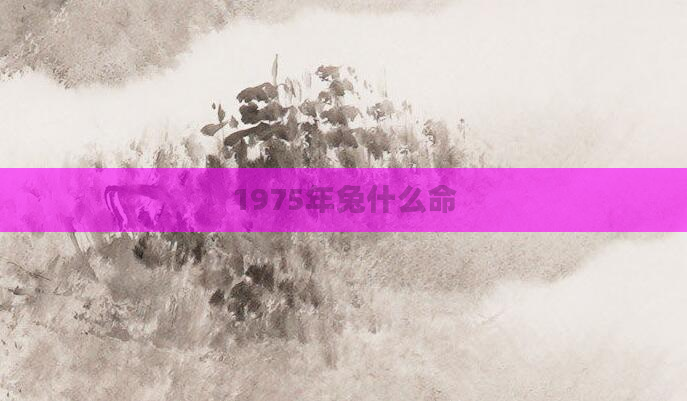 1975年兔什么命