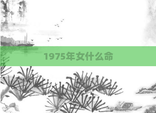 1975年女什么命