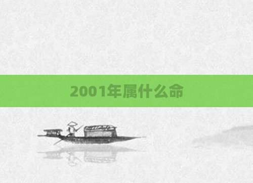 2001年属什么命
