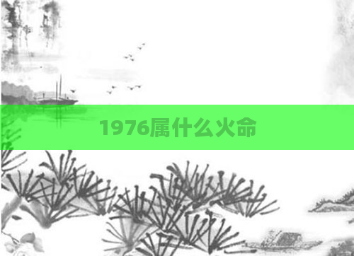 1976属什么火命