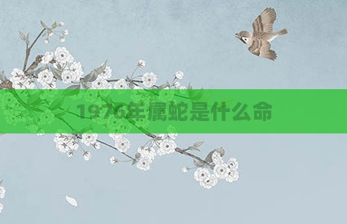 1976年属蛇是什么命