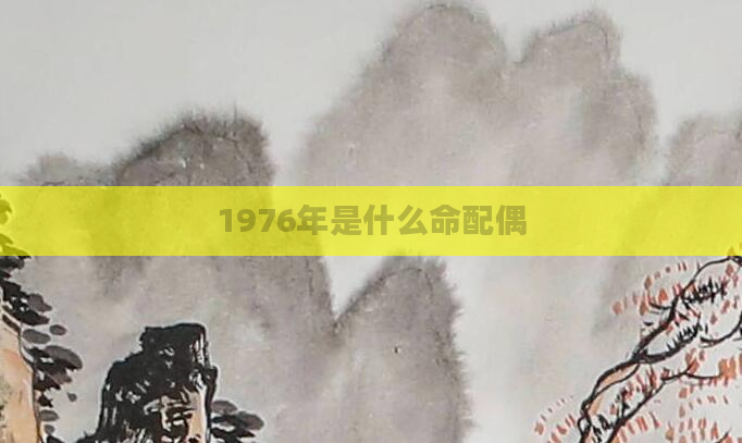 1976年是什么命配偶