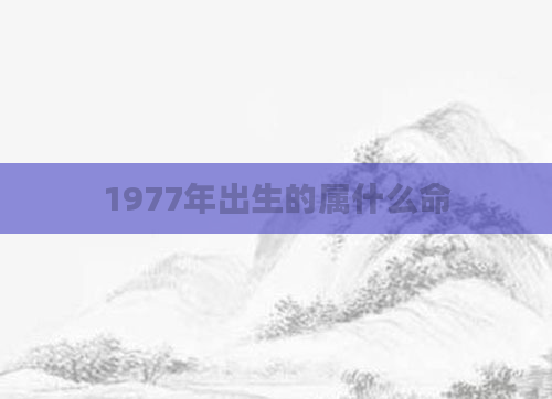1977年出生的属什么命