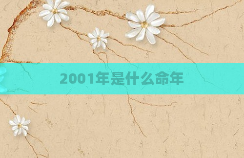 2001年是什么命年