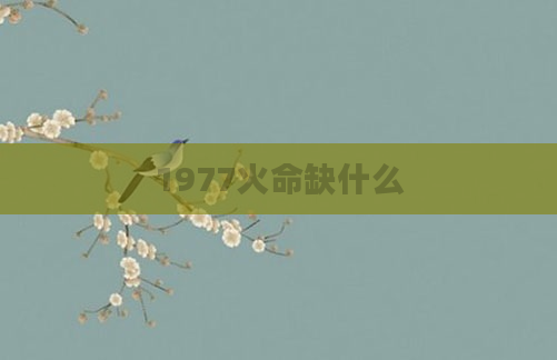 1977火命缺什么