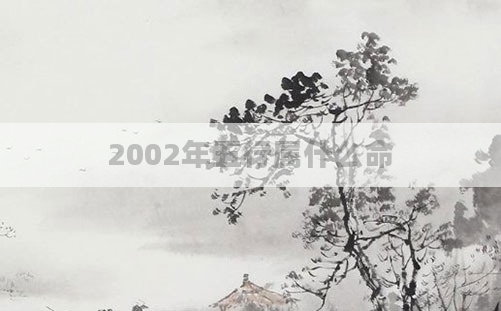 2002年五行属什么命