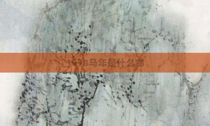 1978马年是什么命
