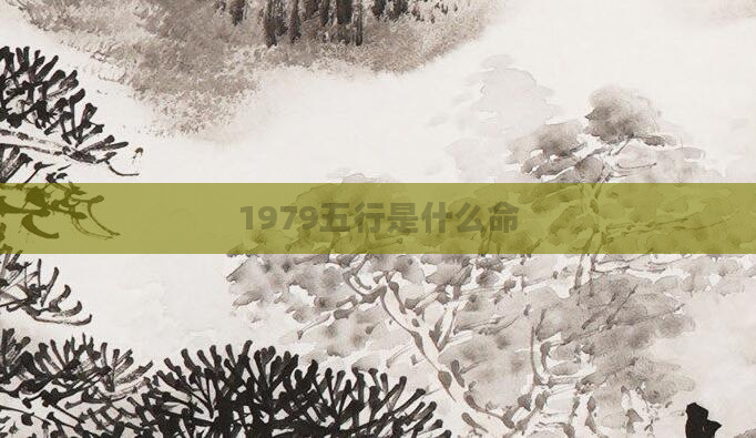 1979五行是什么命