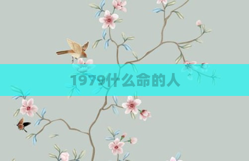 1979什么命的人