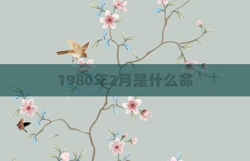 1980年2月是什么命