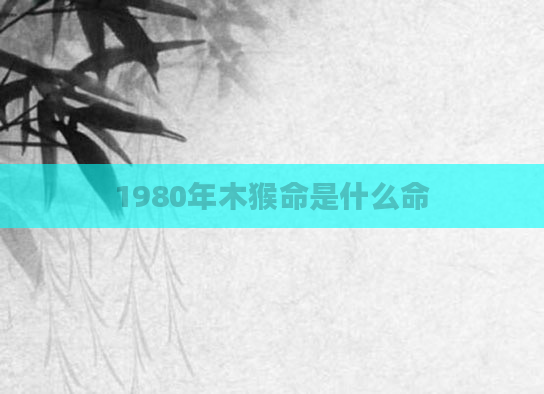 1980年木猴命是什么命