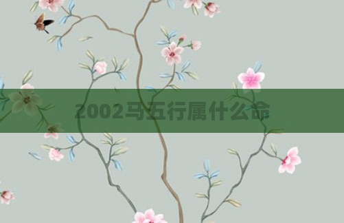 2002马五行属什么命