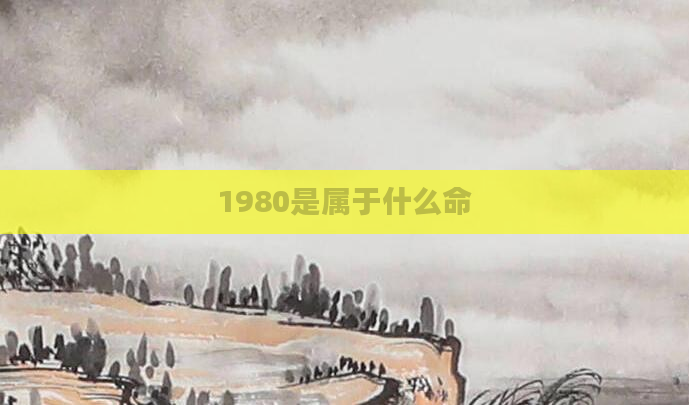 1980是属于什么命