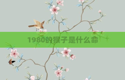 1980的猴子是什么命