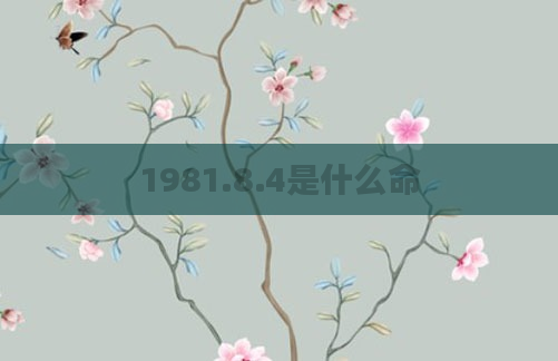 1981.8.4是什么命
