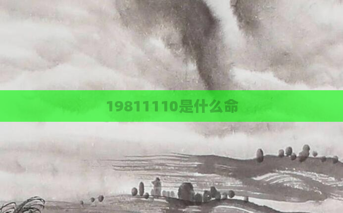 19811110是什么命