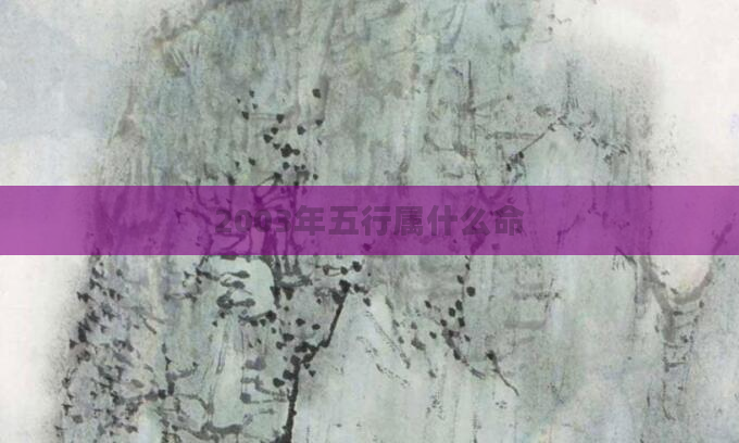 2003年五行属什么命