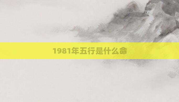 1981年五行是什么命