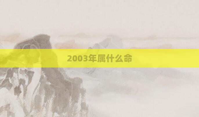 2003年属什么命