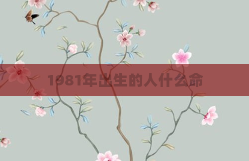 1981年出生的人什么命