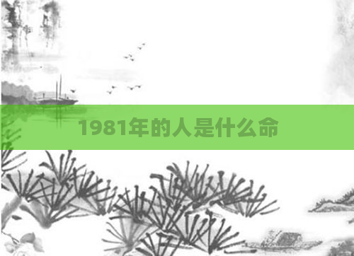 1981年的人是什么命