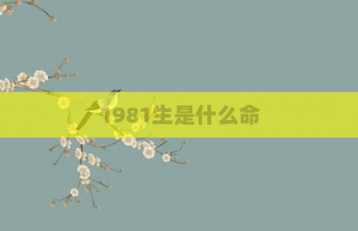1981生是什么命