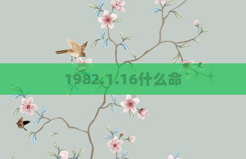 1982.1.16什么命