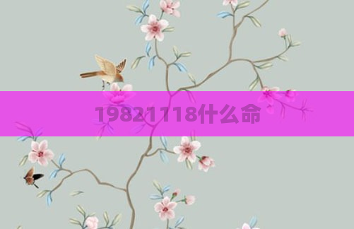 19821118什么命