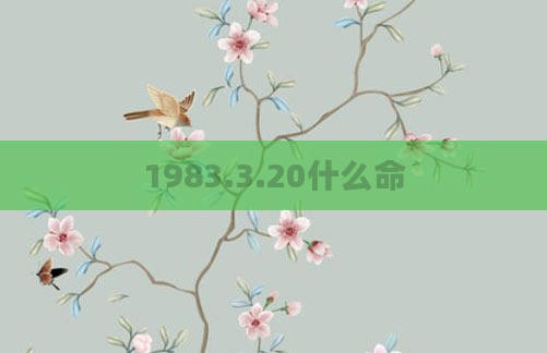 1983.3.20什么命