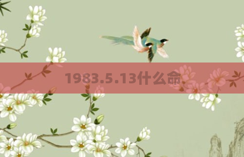1983.5.13什么命