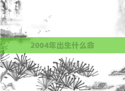 2004年出生什么命