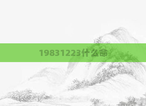 19831223什么命