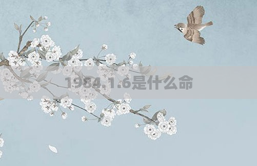 1984.1.6是什么命